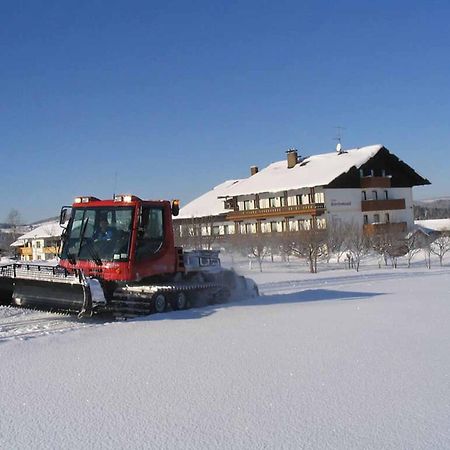 Hotel Maerchenwald Haidmühle Buitenkant foto