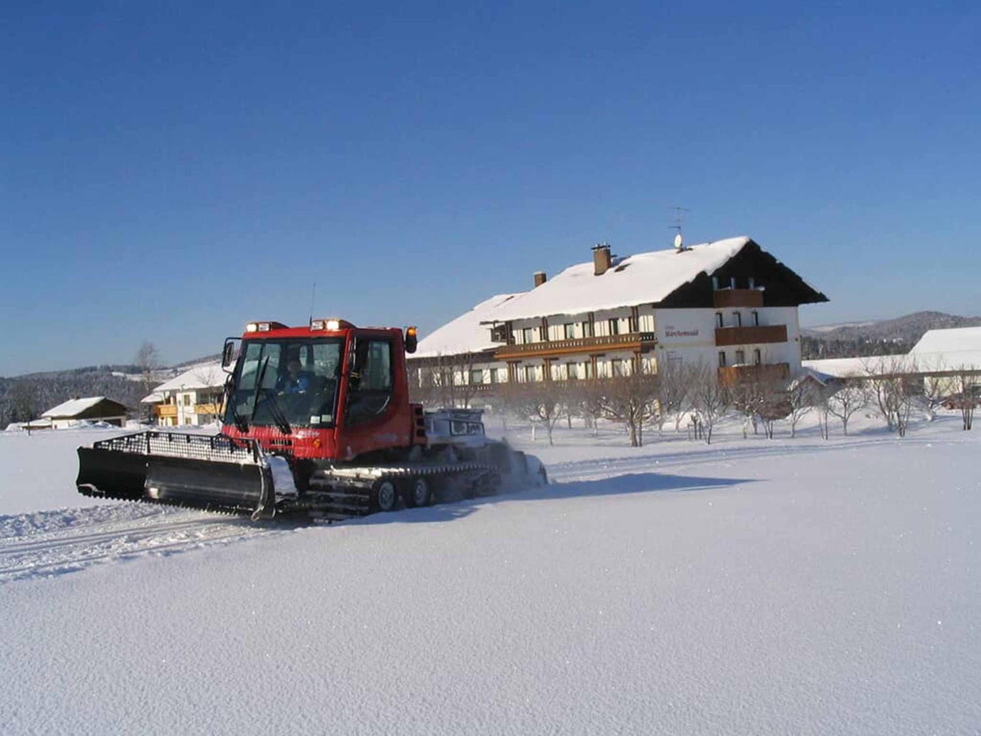 Hotel Maerchenwald Haidmühle Buitenkant foto