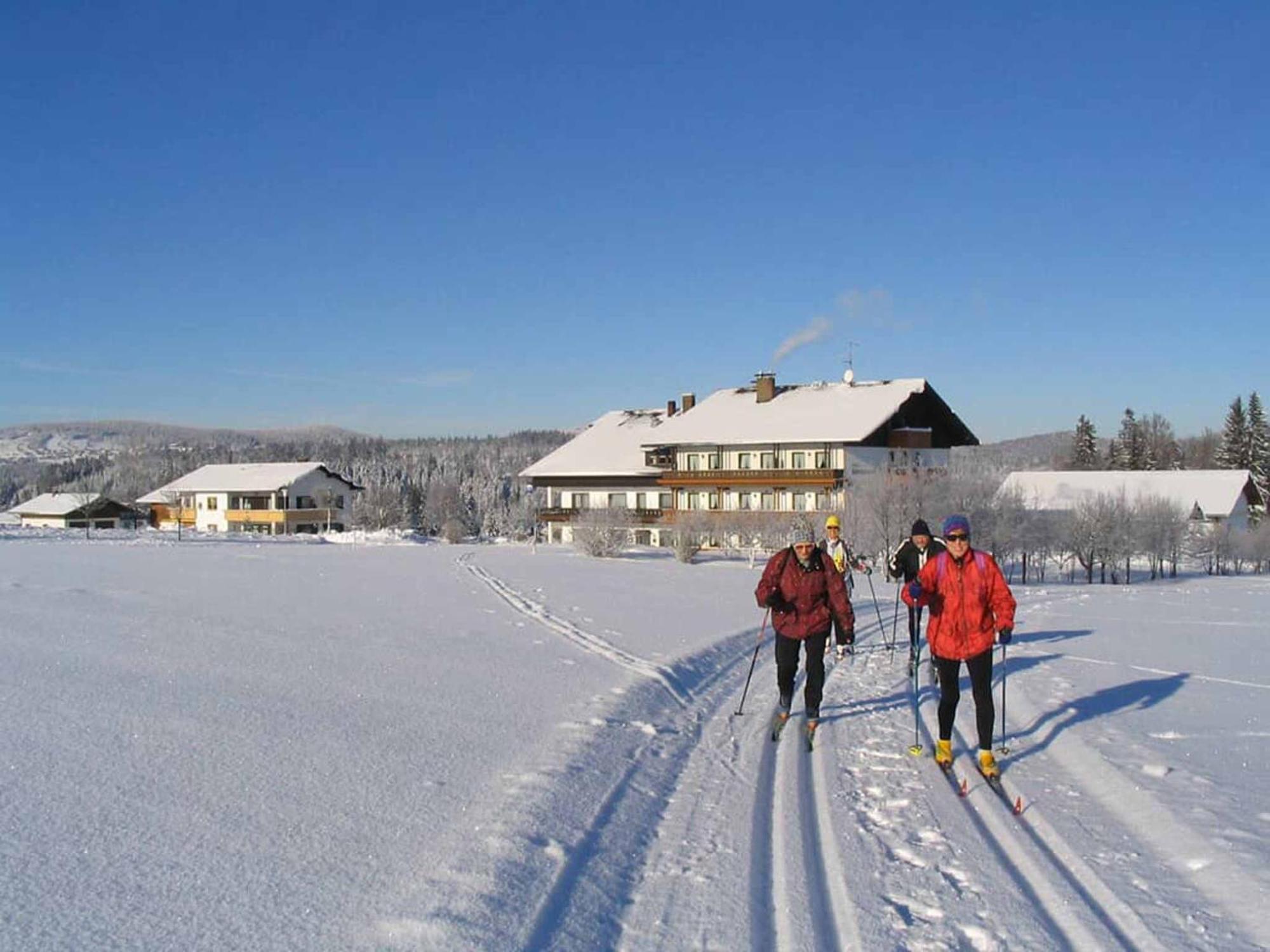 Hotel Maerchenwald Haidmühle Buitenkant foto