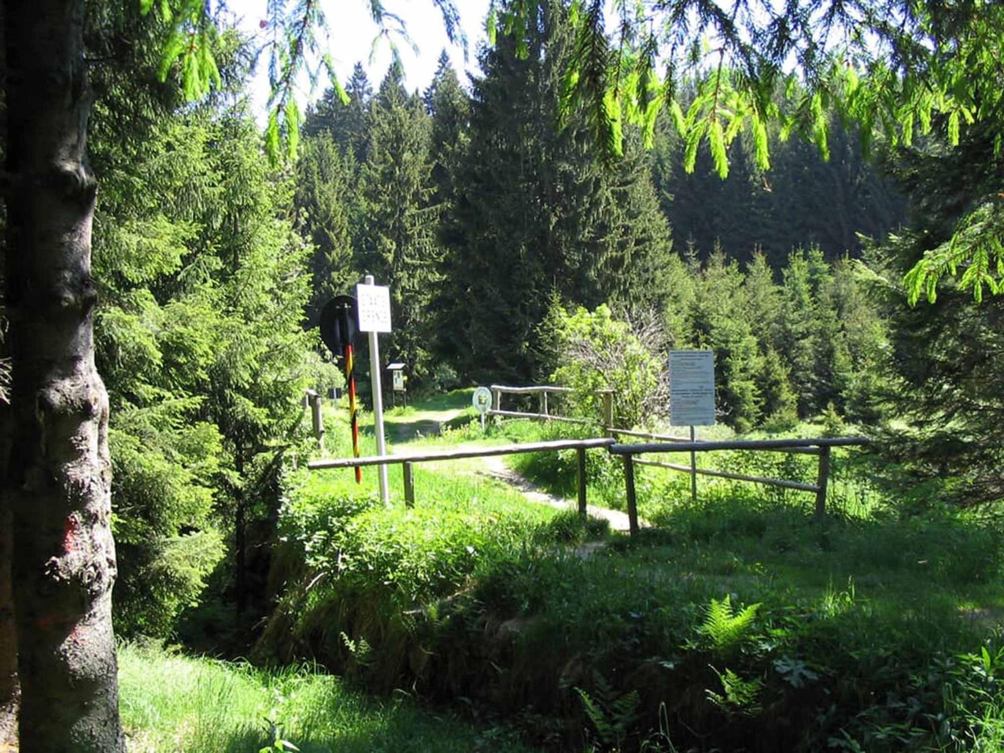 Hotel Maerchenwald Haidmühle Buitenkant foto